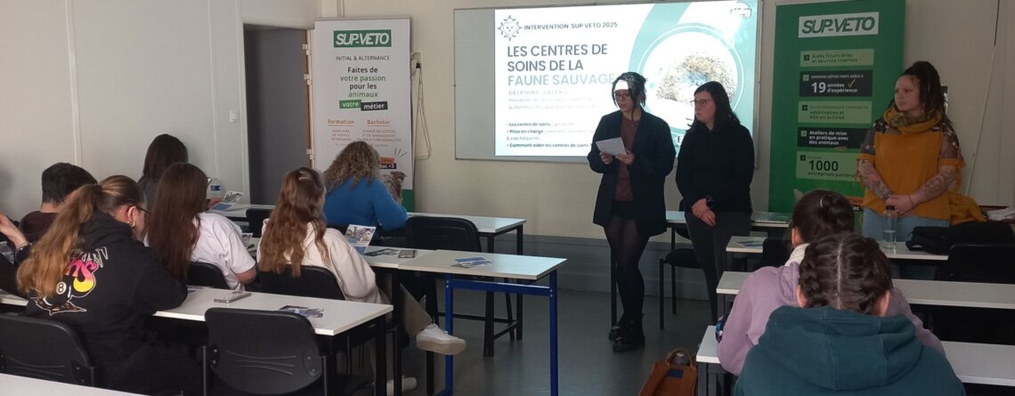 Intervention de l’association Endemic'Amis à SupVéto Toulouse sur la faune sauvage et les centres de soins.