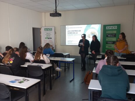 Intervention de l’association Endemic'Amis à SupVéto Toulouse sur la faune sauvage et les centres de soins.