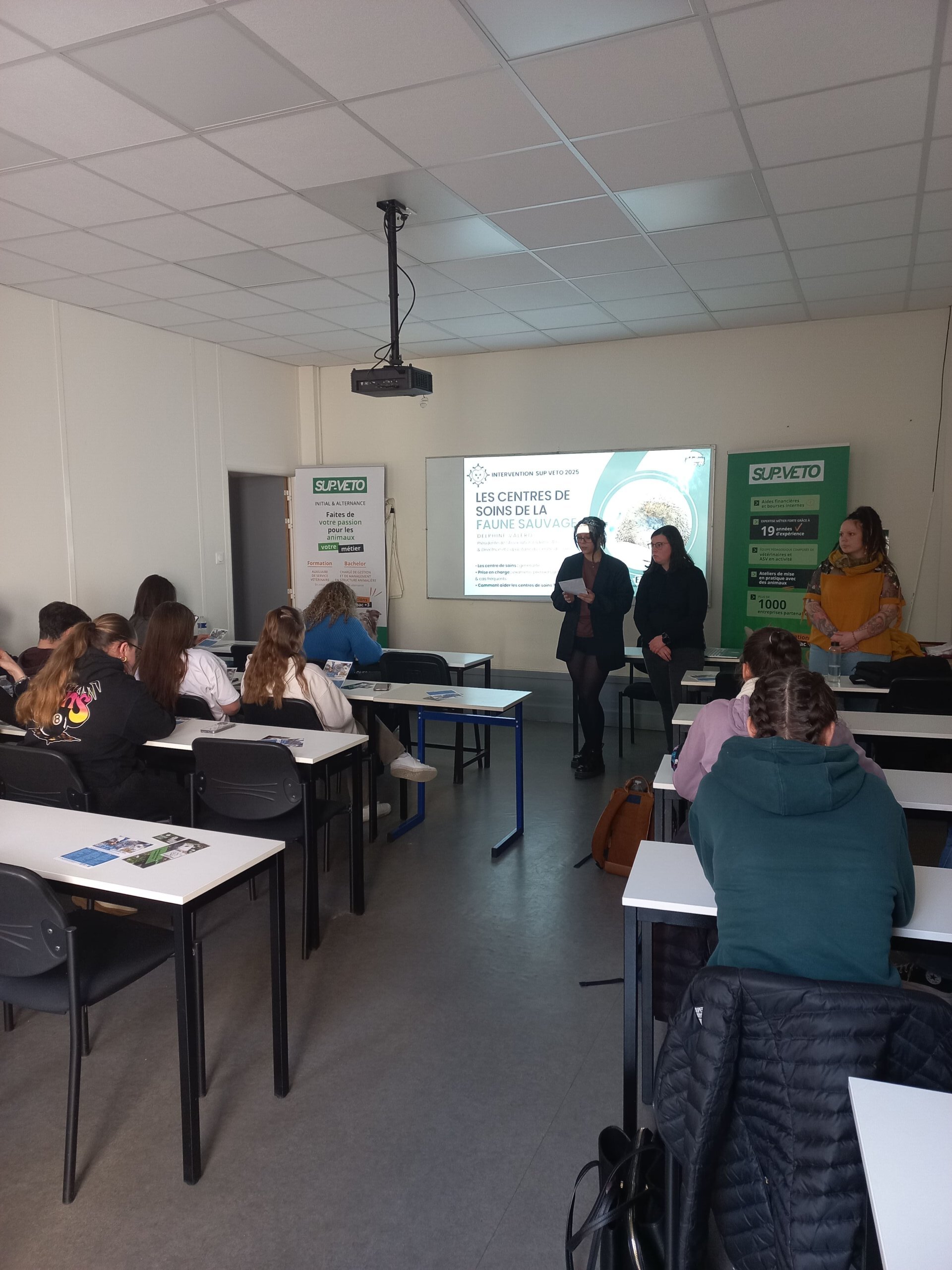 Intervention de l’association Endemic'Amis à SupVéto Toulouse sur la faune sauvage et les centres de soins.